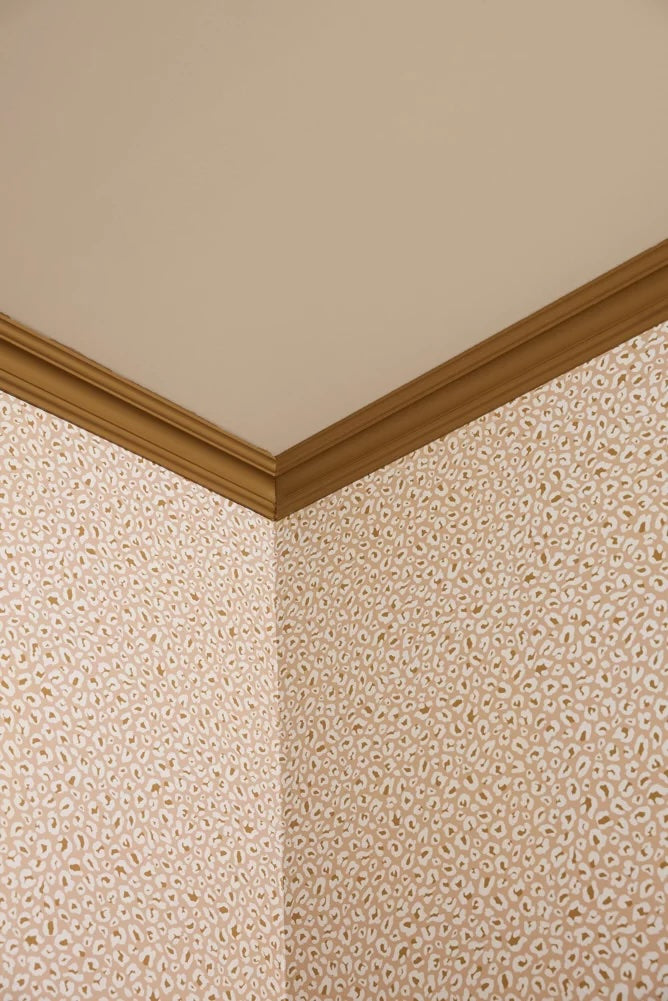 Pintura - Crema de avellana