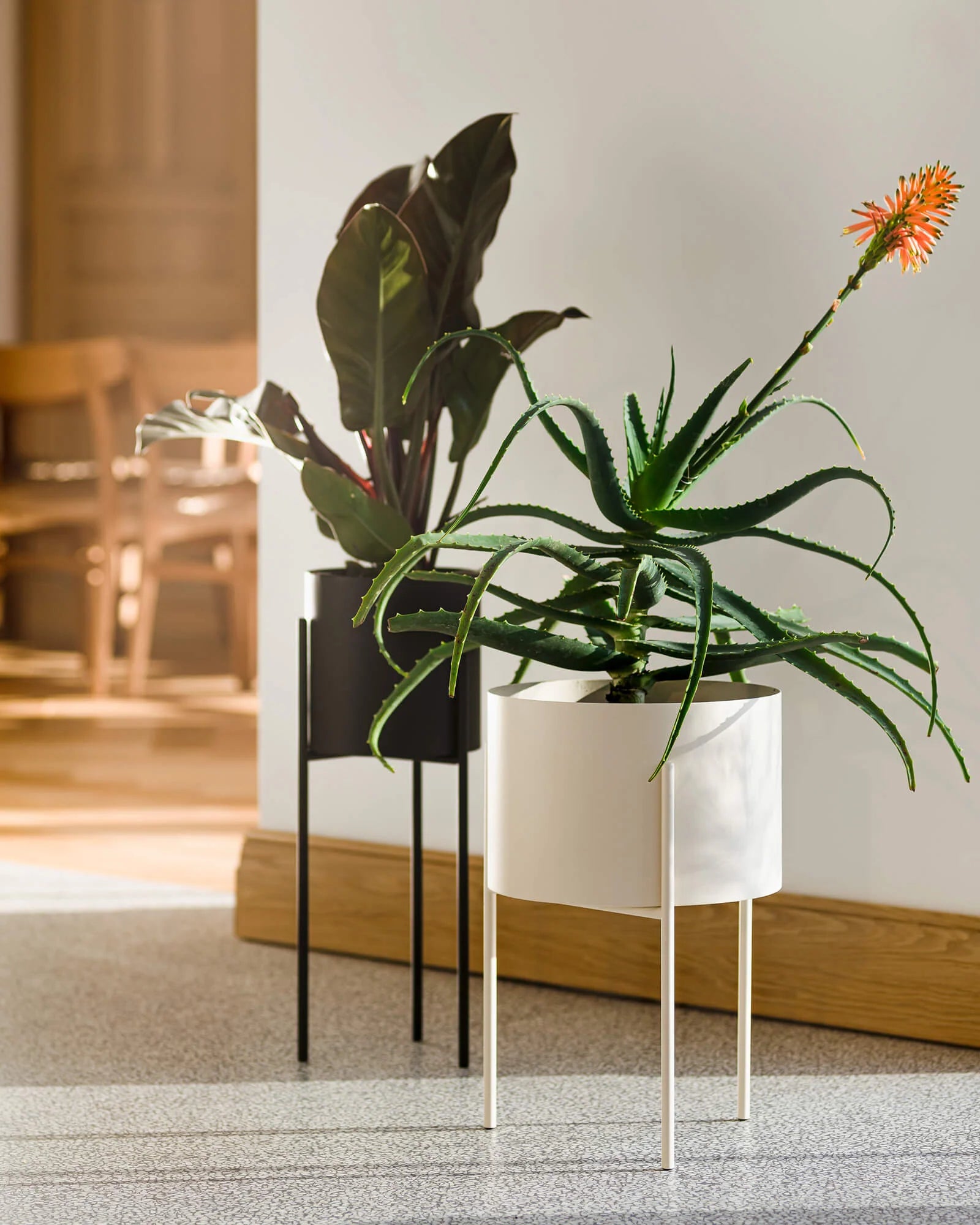 Pot De Fleurs Maki – Large - Piazza Beige