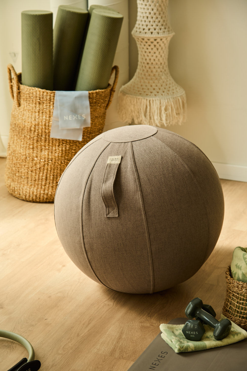 Ballon De Fitness Avec Housse Et Pompe À Main - Gris