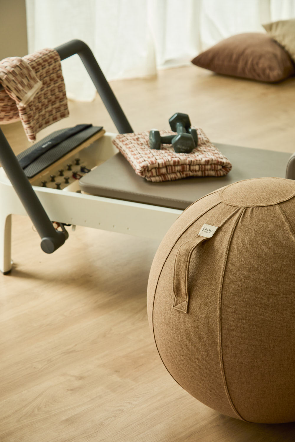 Ballon De Fitness Avec Housse Et Pompe À Main - Marron
