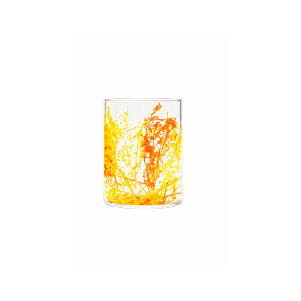Flovers Twigs - Lot De 6 Verres - Jaune/Orange