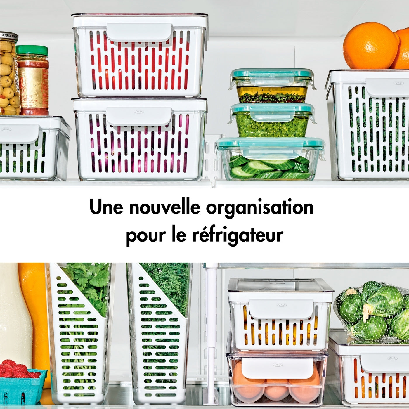 Conservateur A Fruits Et Legumes Saver - Moyen