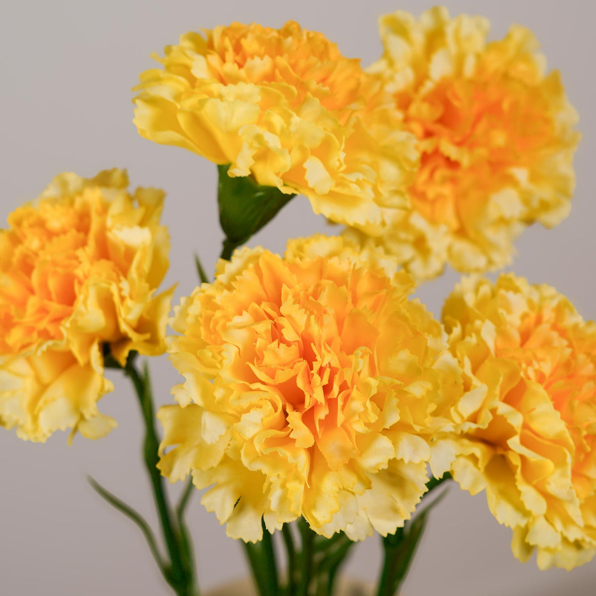 Oeillet Artificiel Jaune