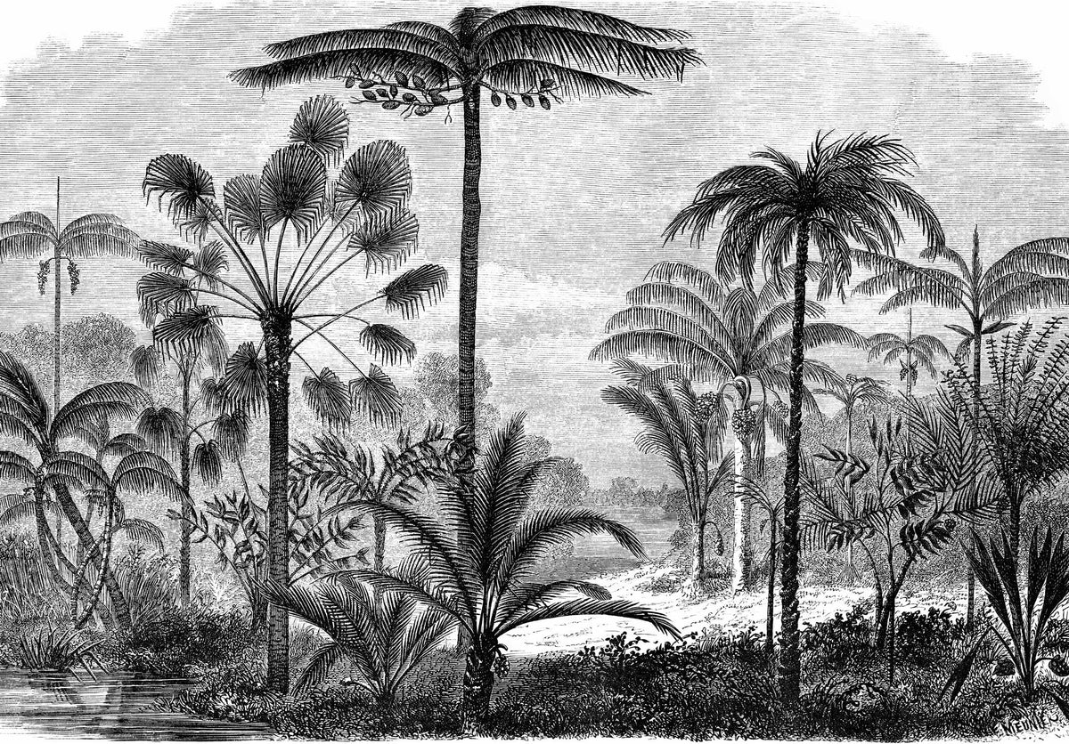 Papier Peint Panoramique Aladin - Noir