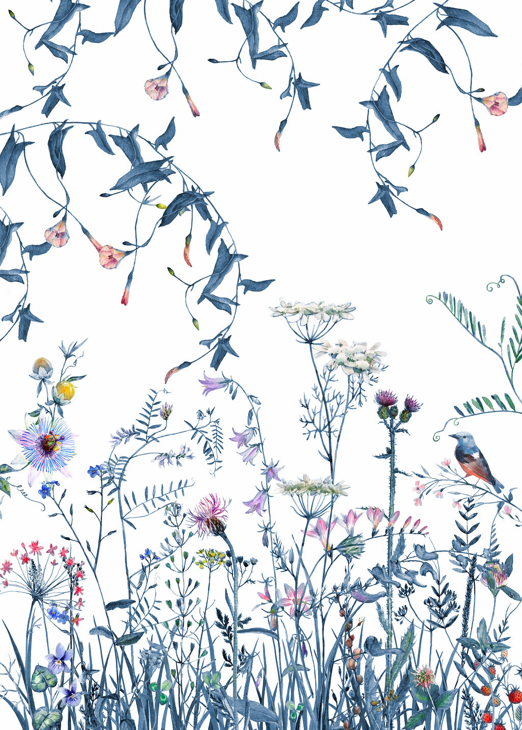 Lé Papiers De Ninon – Carta da parati panoramica Volubilis Blue - Multicolore, illustrazione di fiori e piante selvatiche blu e rosa su sfondo bianco