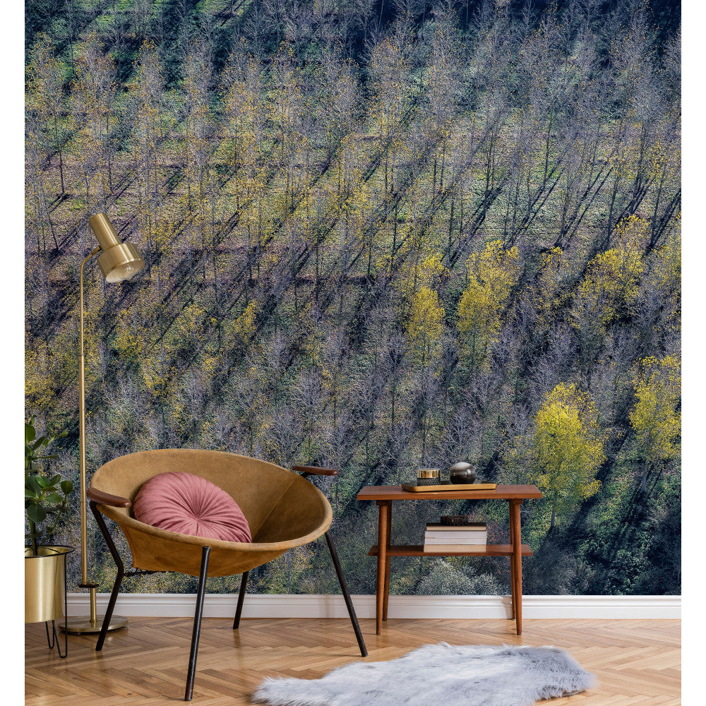 Lé Papiers De Ninon – Peupleraie Panoramic Wallpaper - Multicoloured, brown leather armchair with pink cushion in front of a wall papered with trees