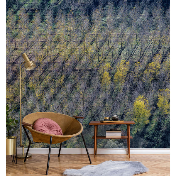 Lé Papiers De Ninon – Peupleraie Panoramic Wallpaper - Multicoloured, brown leather armchair with pink cushion in front of a wall papered with trees
