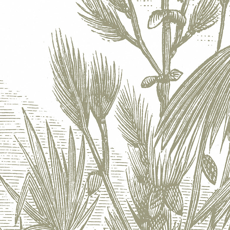 Madrague Panoramic Wallpaper - Sage