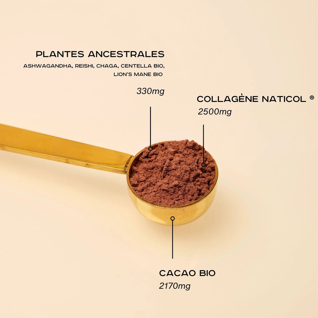Boisson Collagène Cacao+