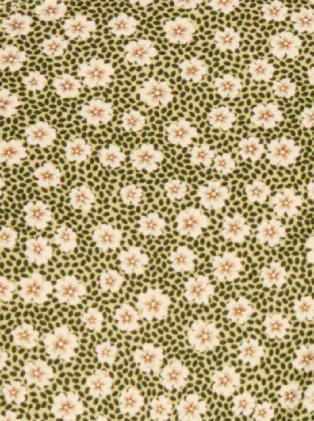 Tanga Noué Swim Blooming Green