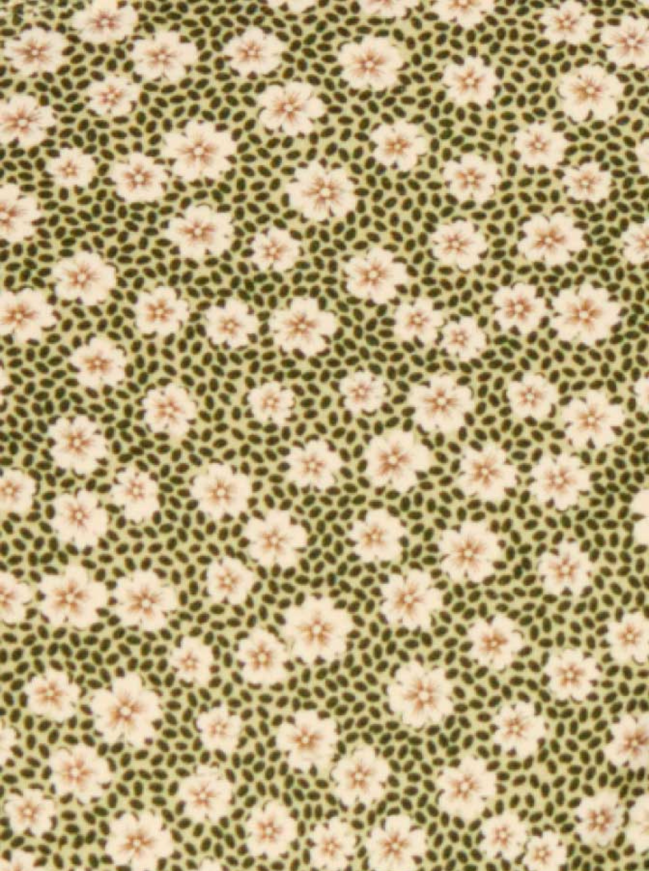 Tanga Noué Swim Blooming Green