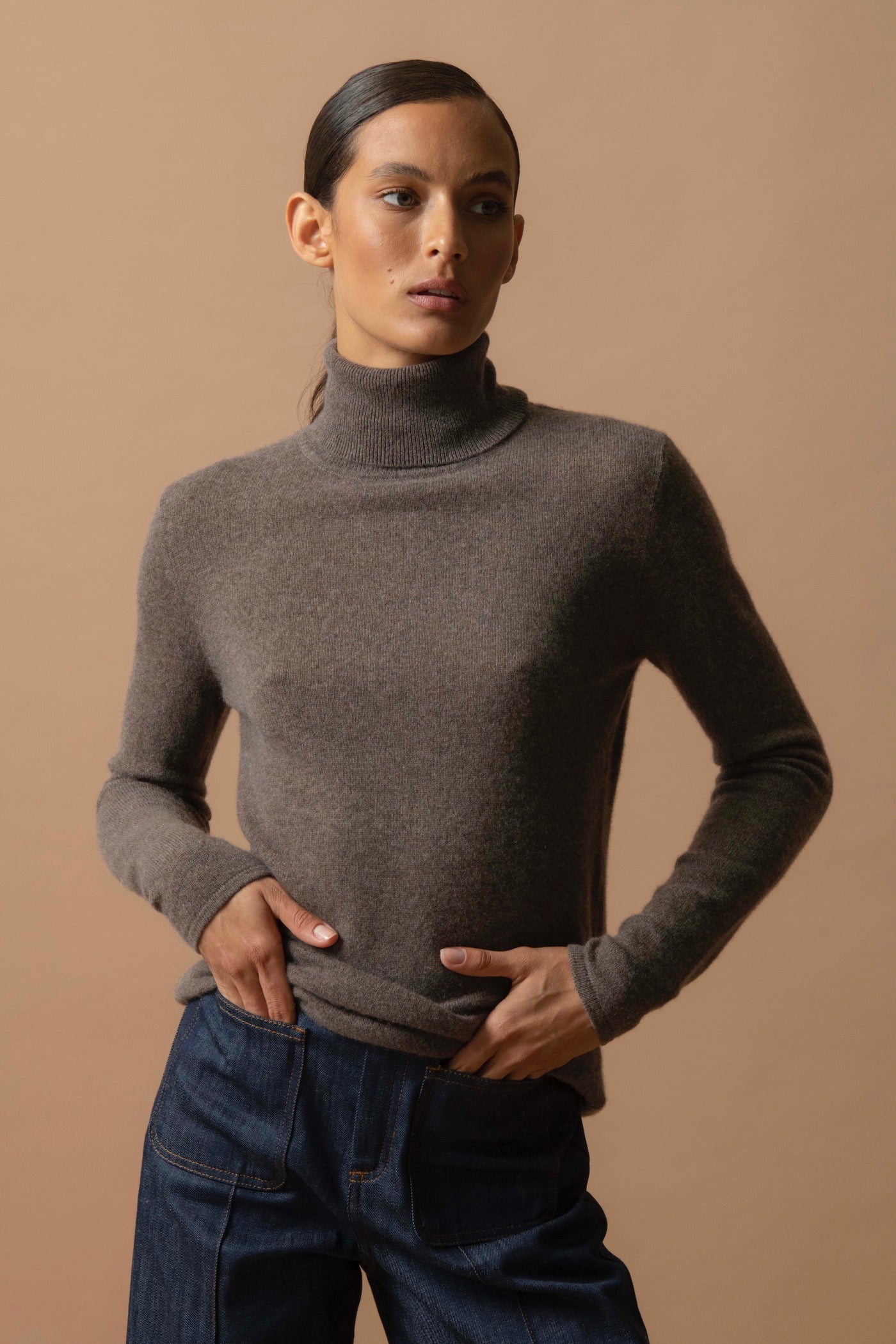 Pull Col Roulé - Ashley - Taupe Chiné
