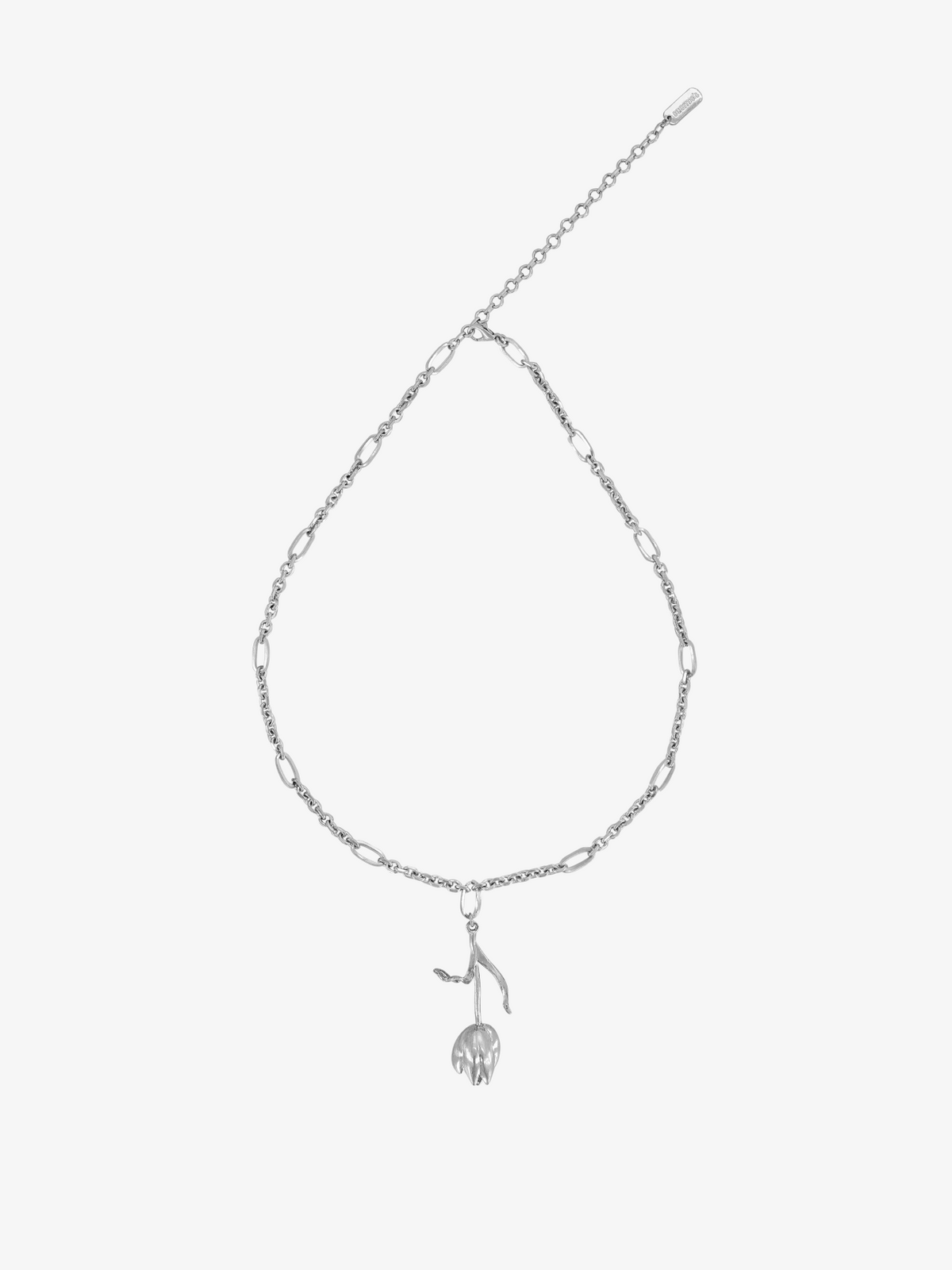 Collar Primrose