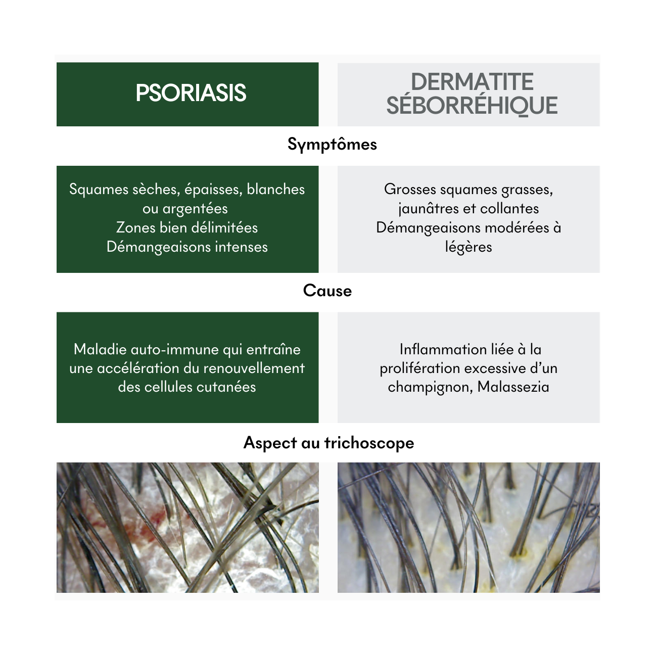 Complément Sos Plaques Sèches