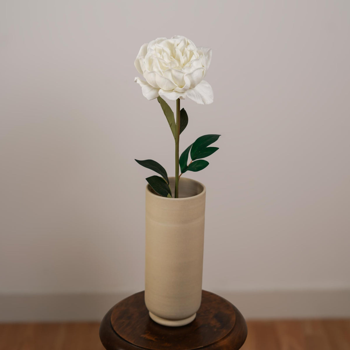 Pivoine Blanche