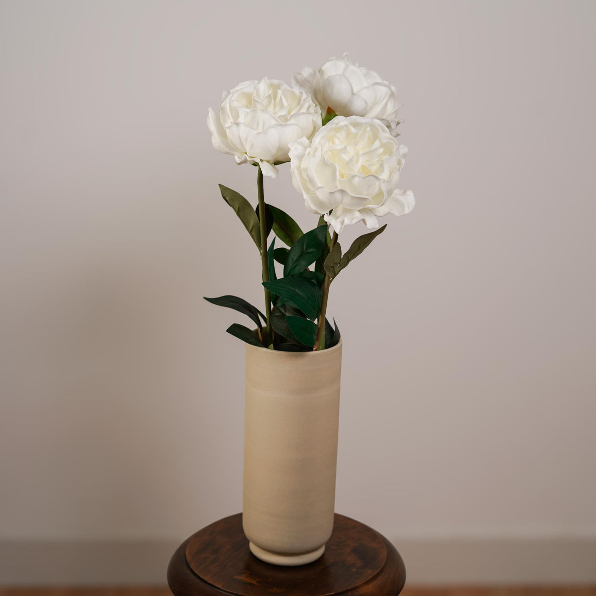 Pivoine Blanche