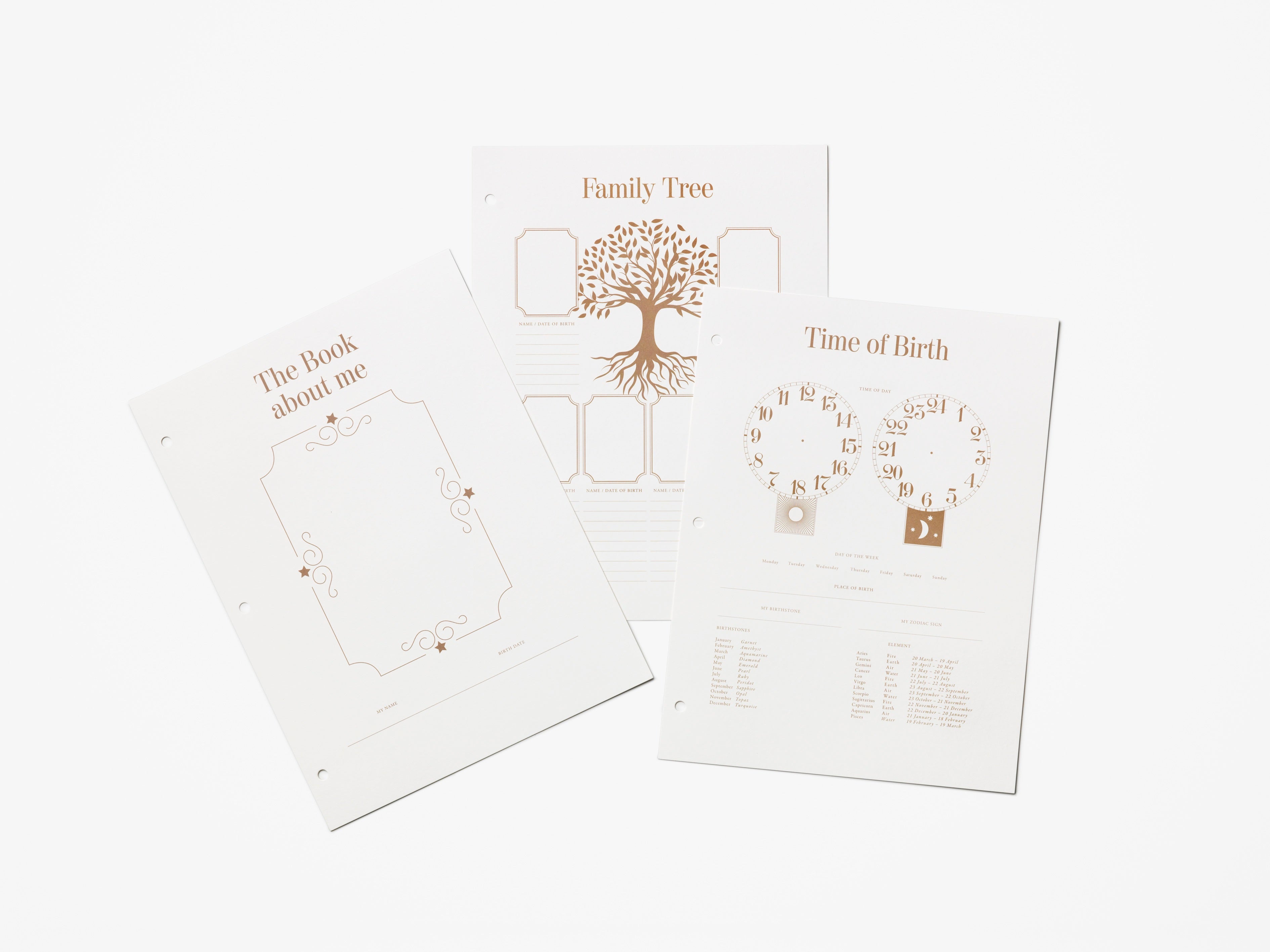 Baby Album Insert Paper - My First Year