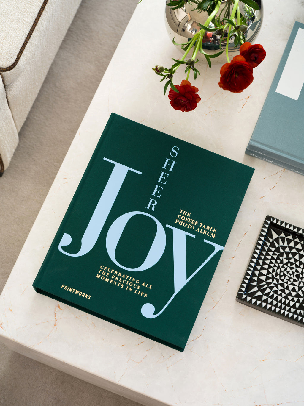Album Photos - Sheer Joy