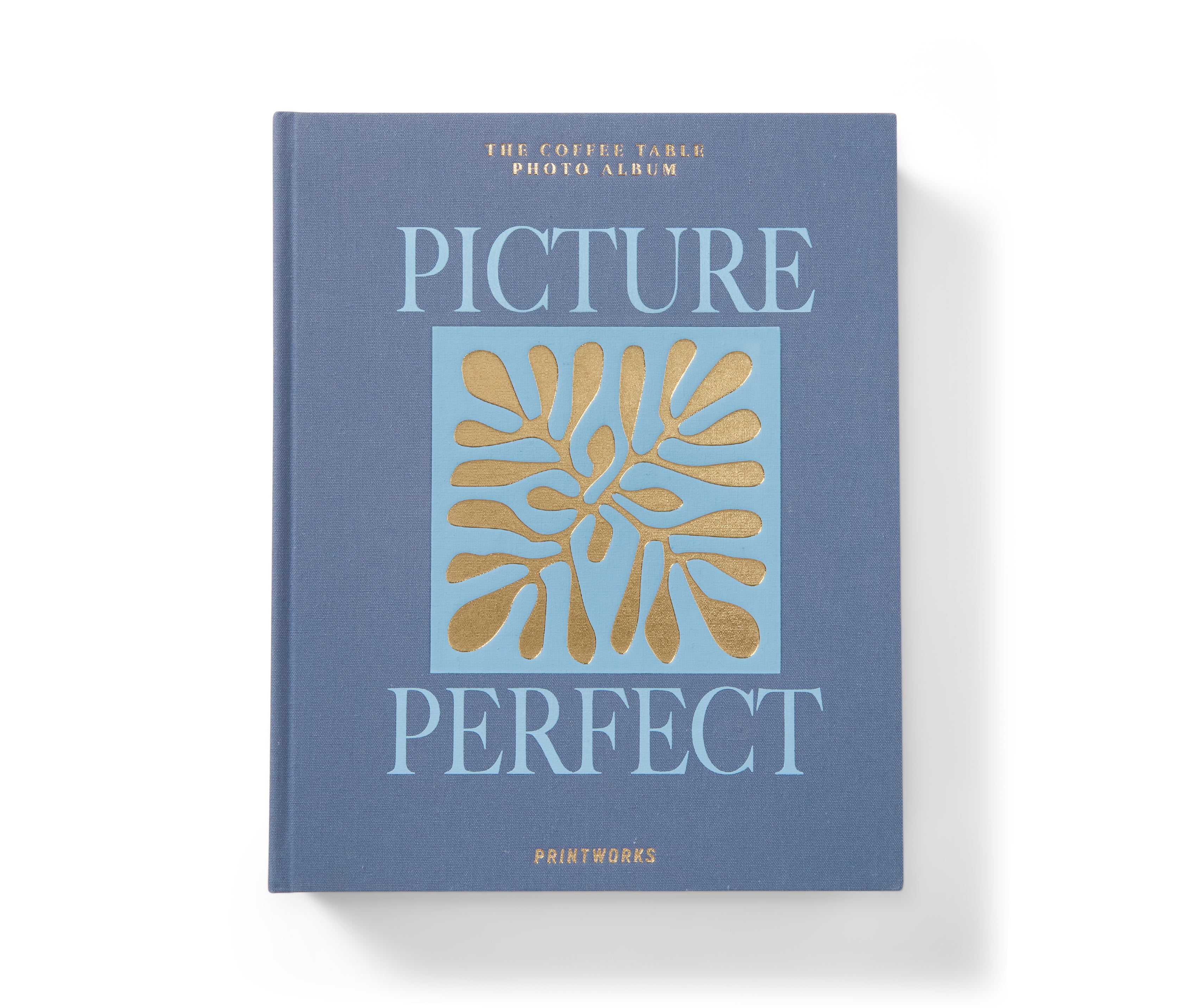 Album Photo - Picture Perfect - Blue