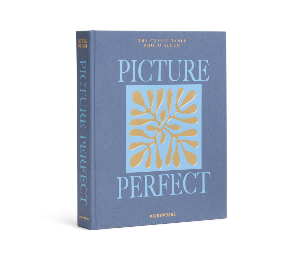 Album Photo - Picture Perfect - Blue