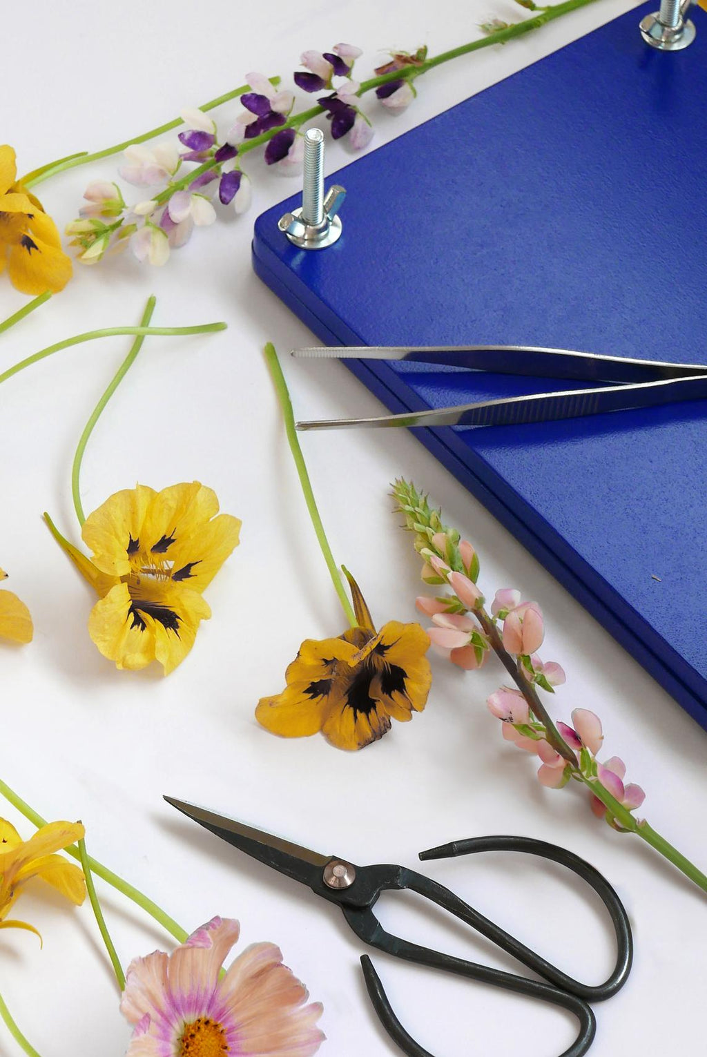 Kit De Presse À Fleurs