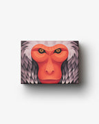 Puzzle - Macaque Japonais