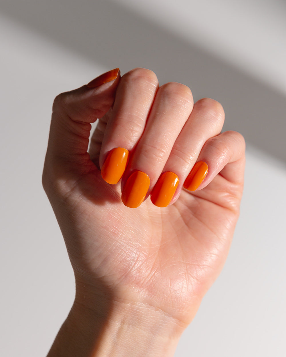 calabaza uv