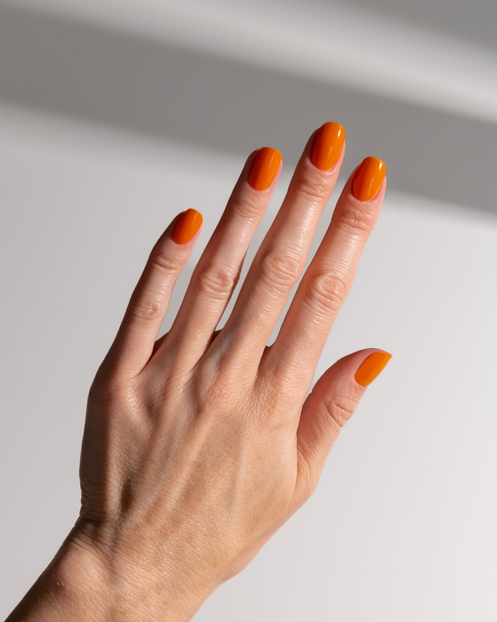 calabaza uv