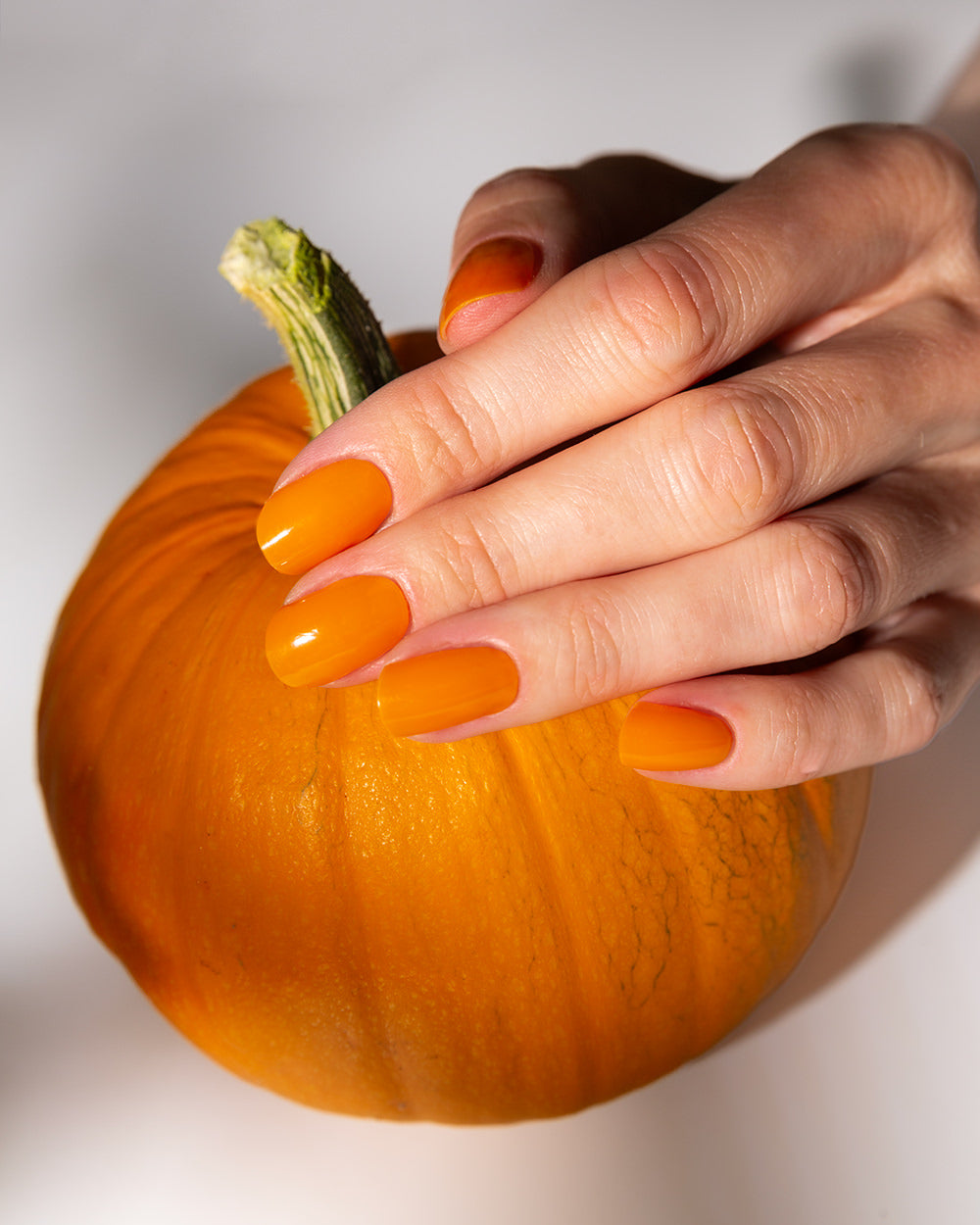 calabaza uv