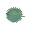 Madagascar - Plat Feuille De Palmier - Porcelaine - Vert Clair