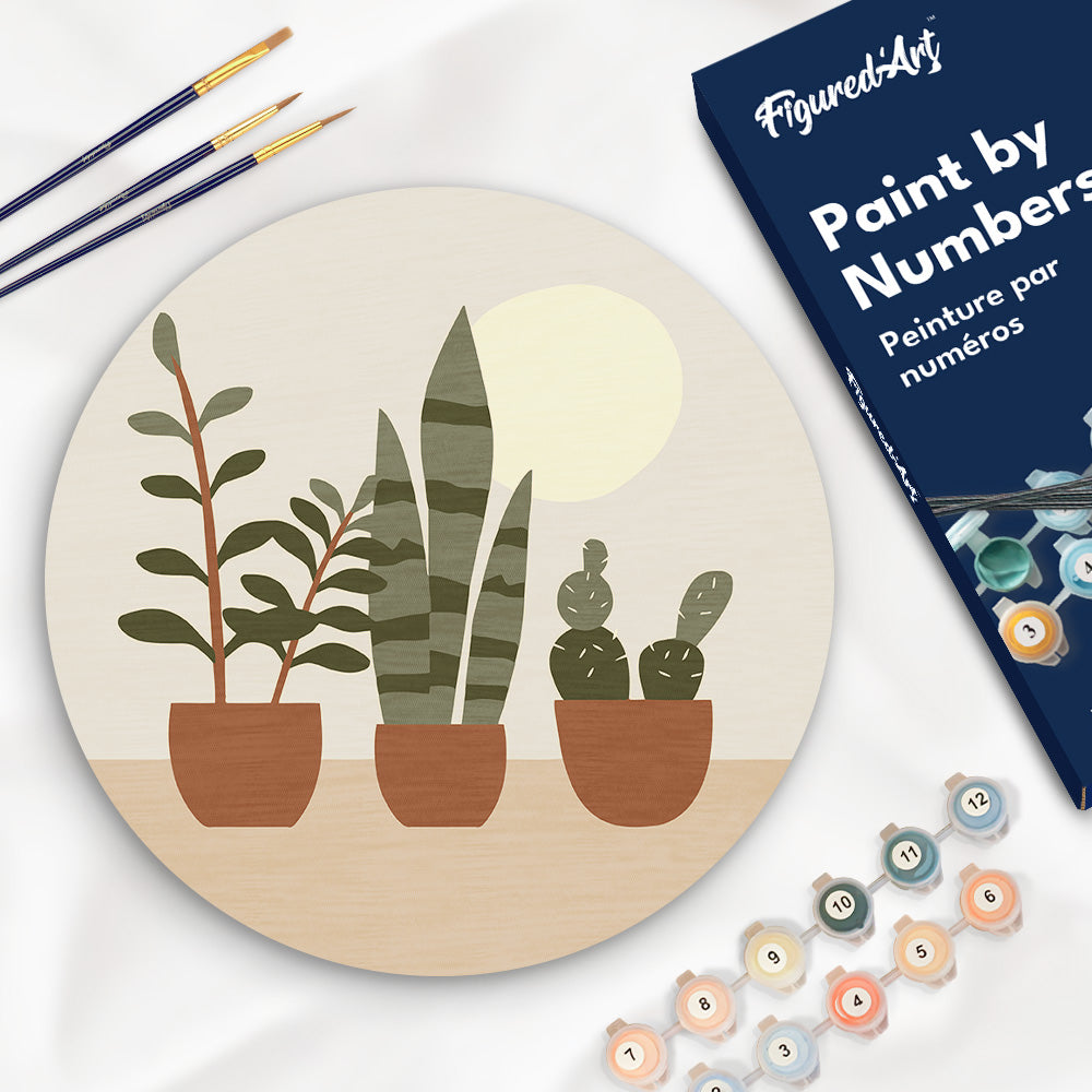 Pintura por números sobre disco de madera - Plantas suculentas