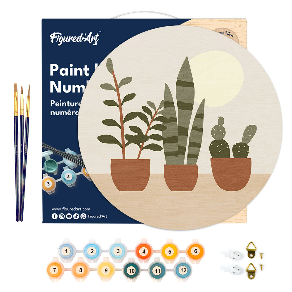 Pintura por números sobre disco de madera - Plantas suculentas