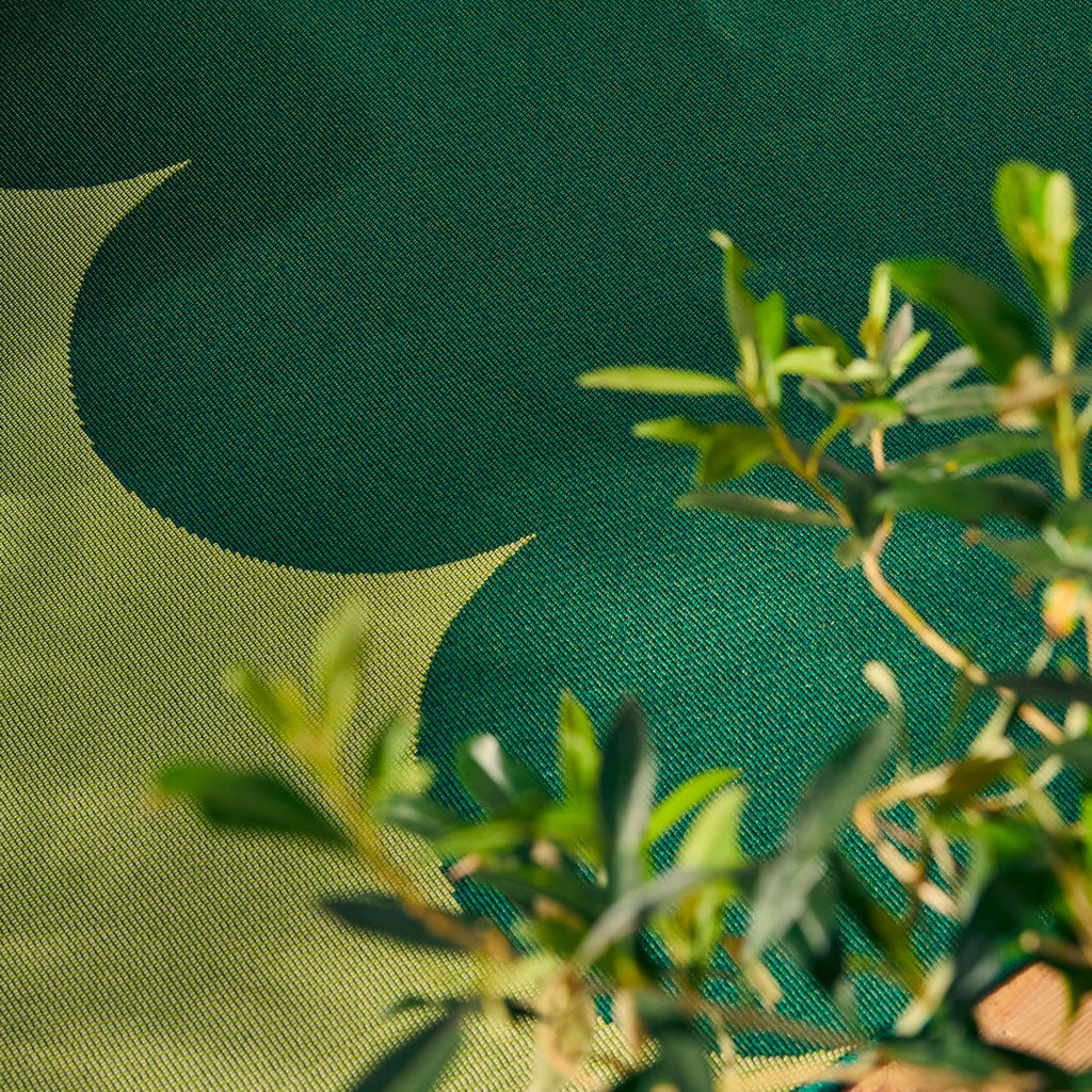 Riveira - Tapis D'Extérieur - Polypropylène/Polyester - Vert