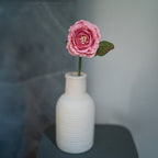 Rose Anglaise En Papier Rose Tendre