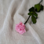 Rose Éternelle Rose Pâle