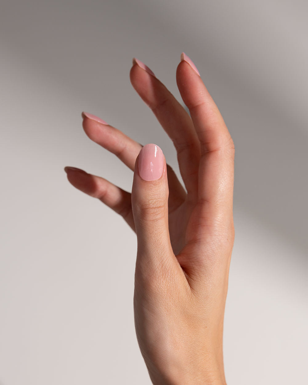 Rosie Sheer UV