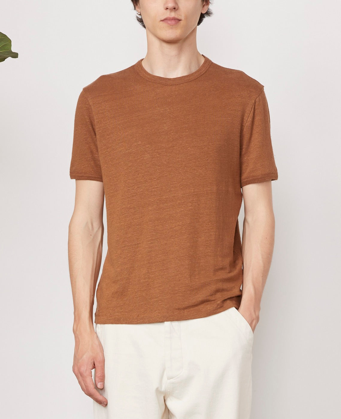 Camiseta SS - Castaño - Hombre