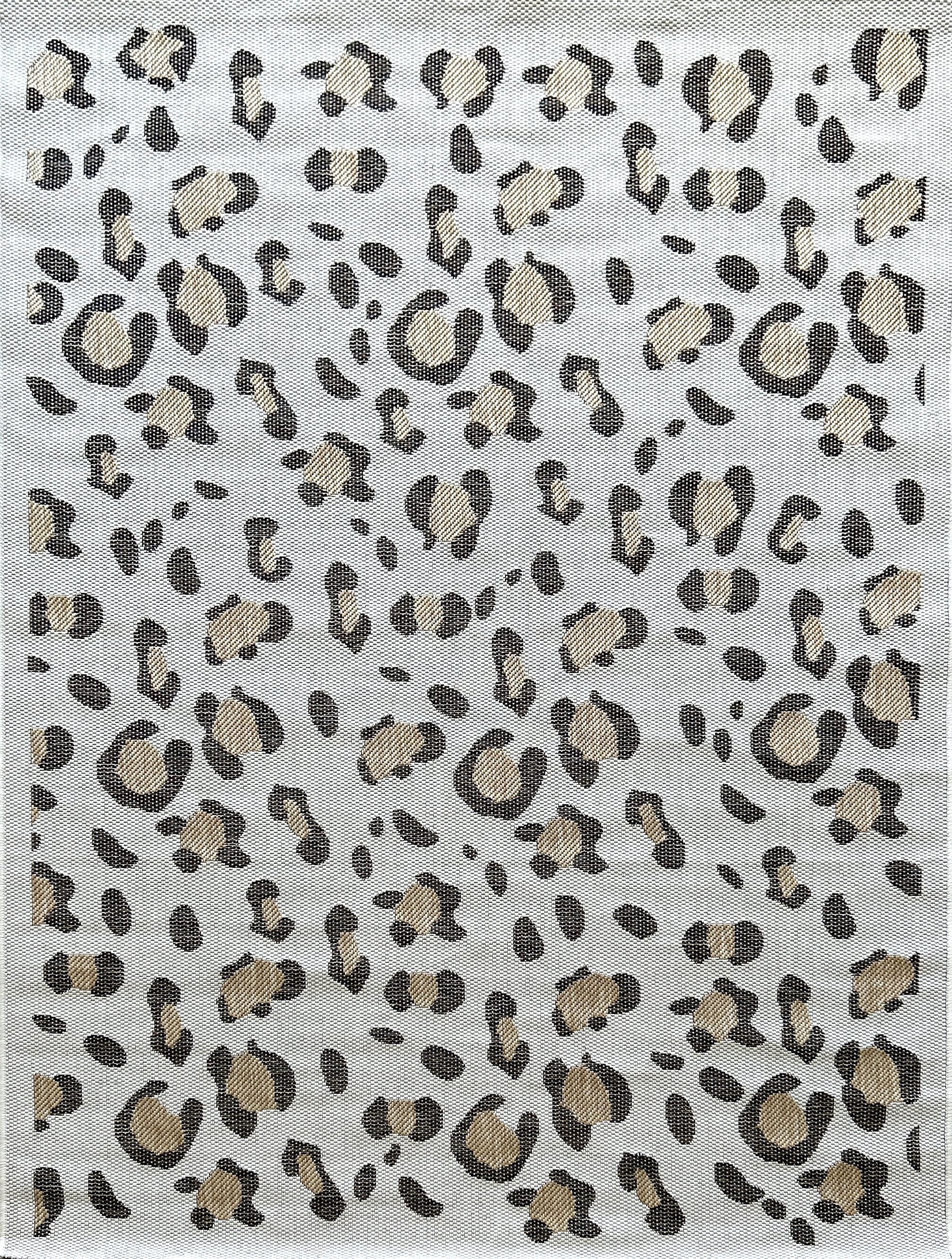 Savanna - Tapis D'Intérieur/Extérieur - Polypropylene - Beige