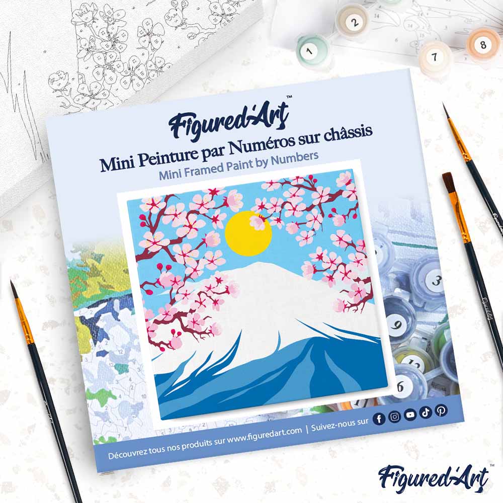 Mini pintura por números de 20x20 cm con marco El monte Fuji