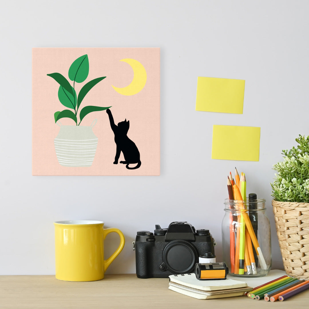 Mini Paint by Numbers 20x20cm with Frame Kitten and Plant in Moonlight