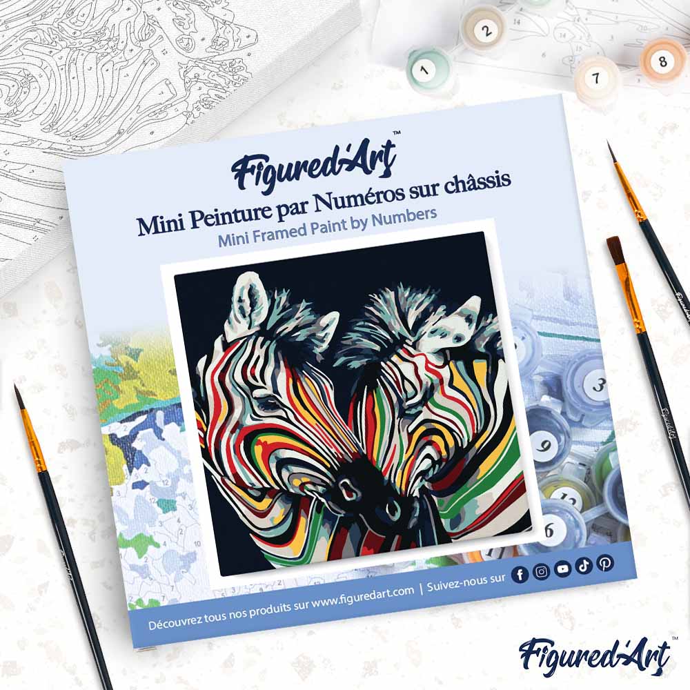 Mini Paint By Numbers 20X20Cm With Frame Colourful Zebra Couple