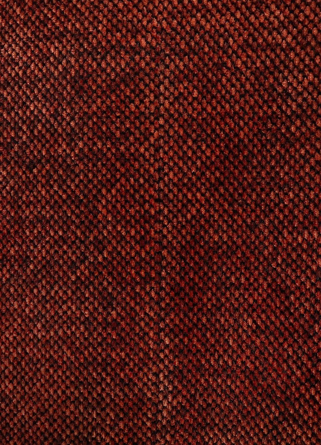 Selenique Jacket