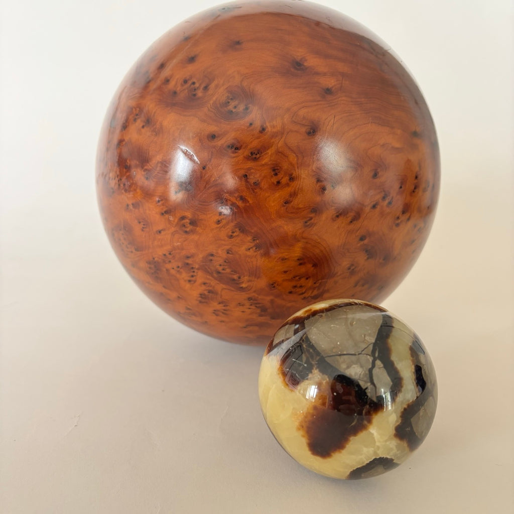 Bola De Raíz De Olmo