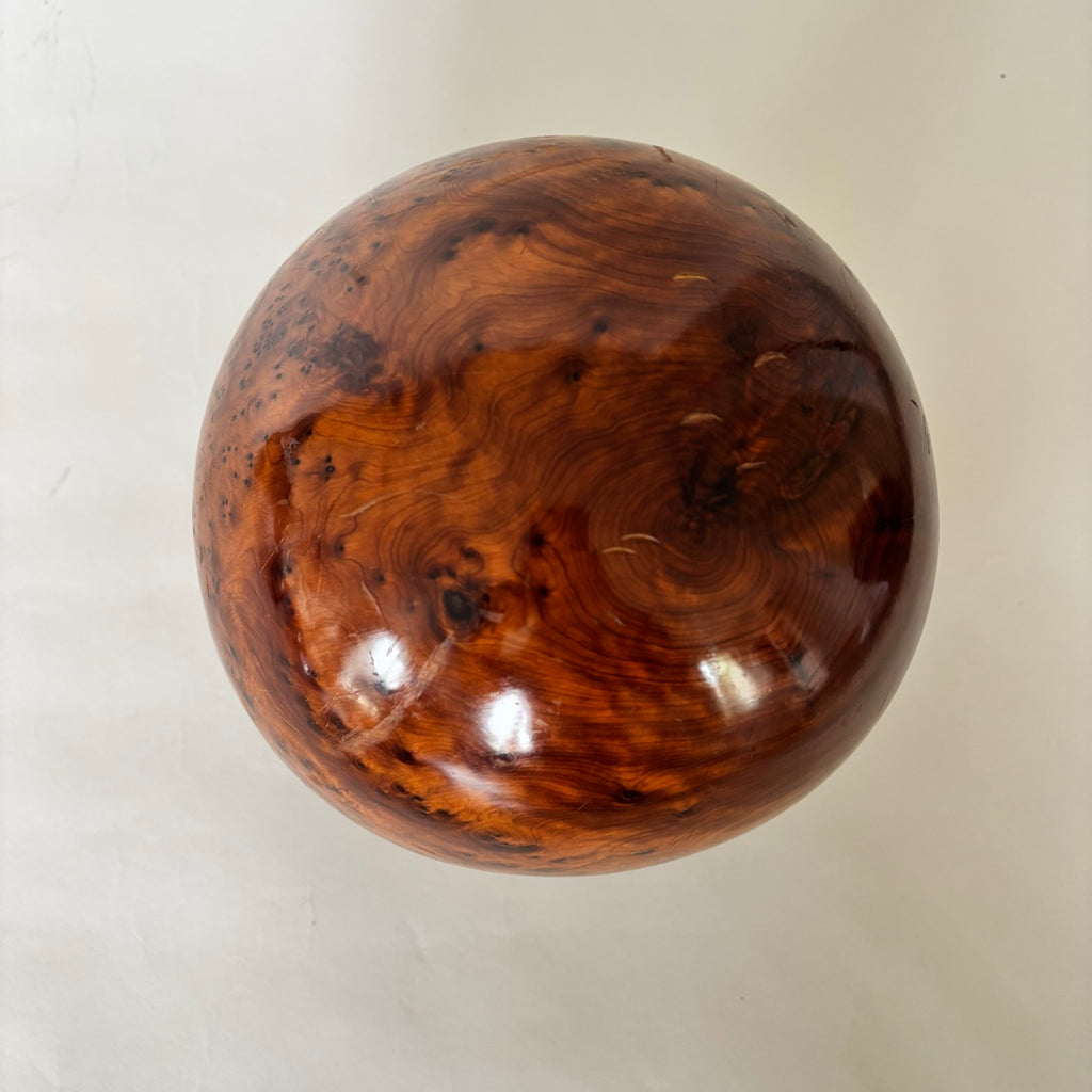 Bola De Raíz De Olmo