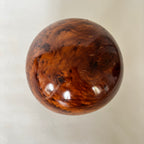 Bola De Raíz De Olmo