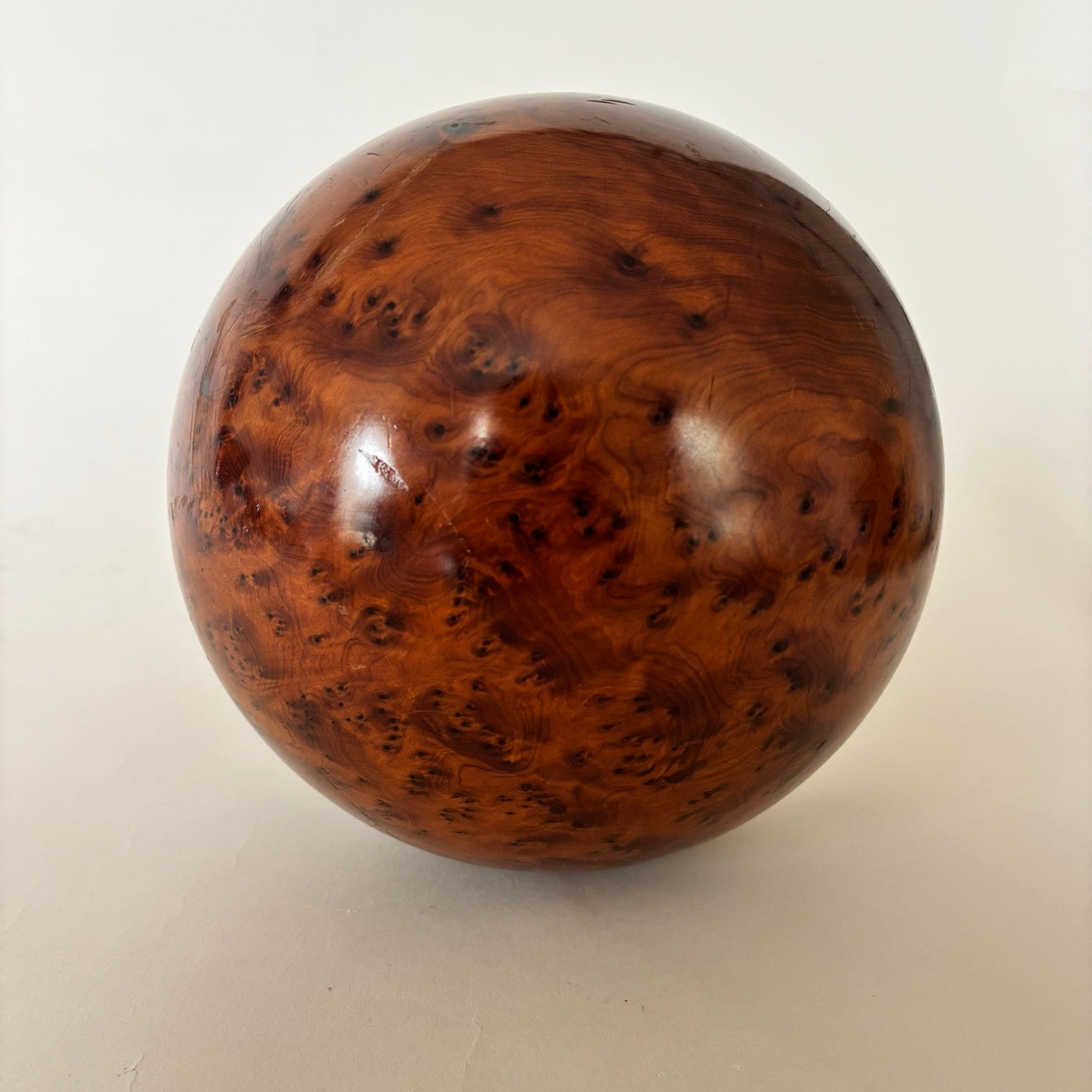 Bola De Raíz De Olmo