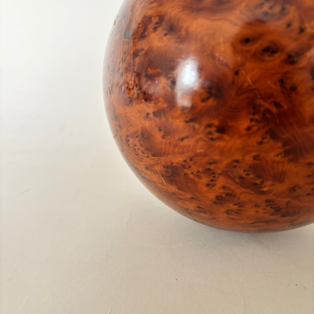 Bola De Raíz De Olmo