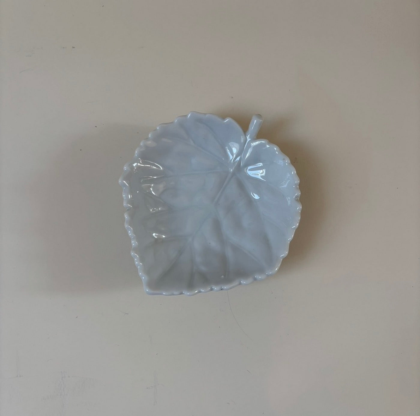 Bandejita hoja