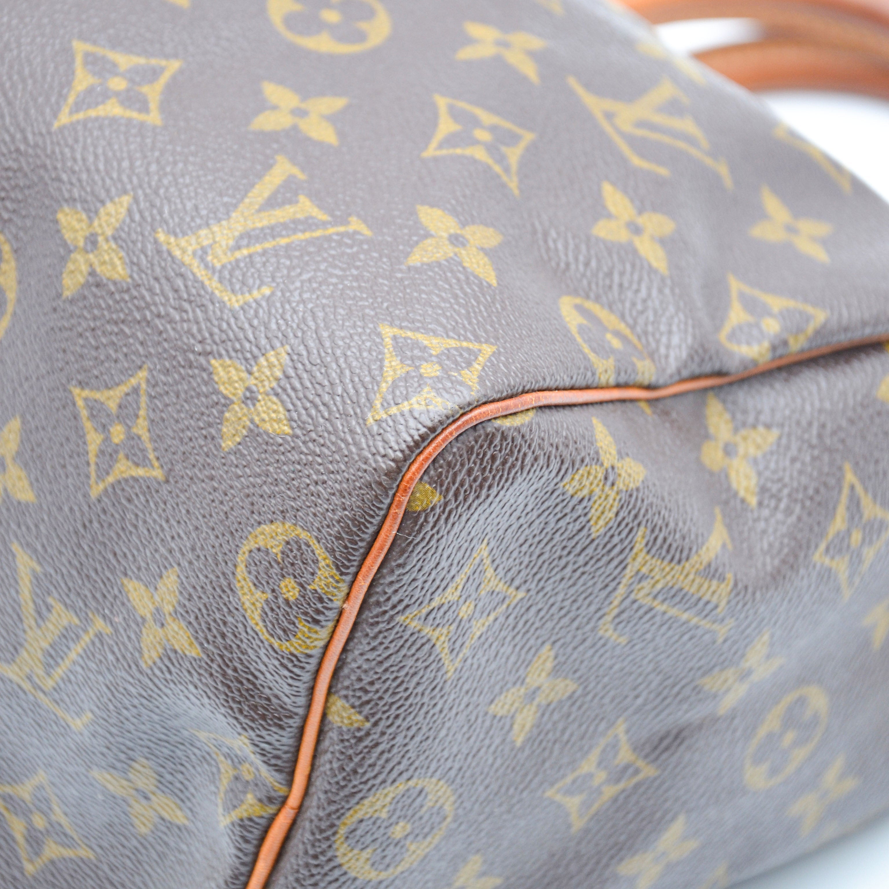 Louis Vuitton Speedy 25 Monogram