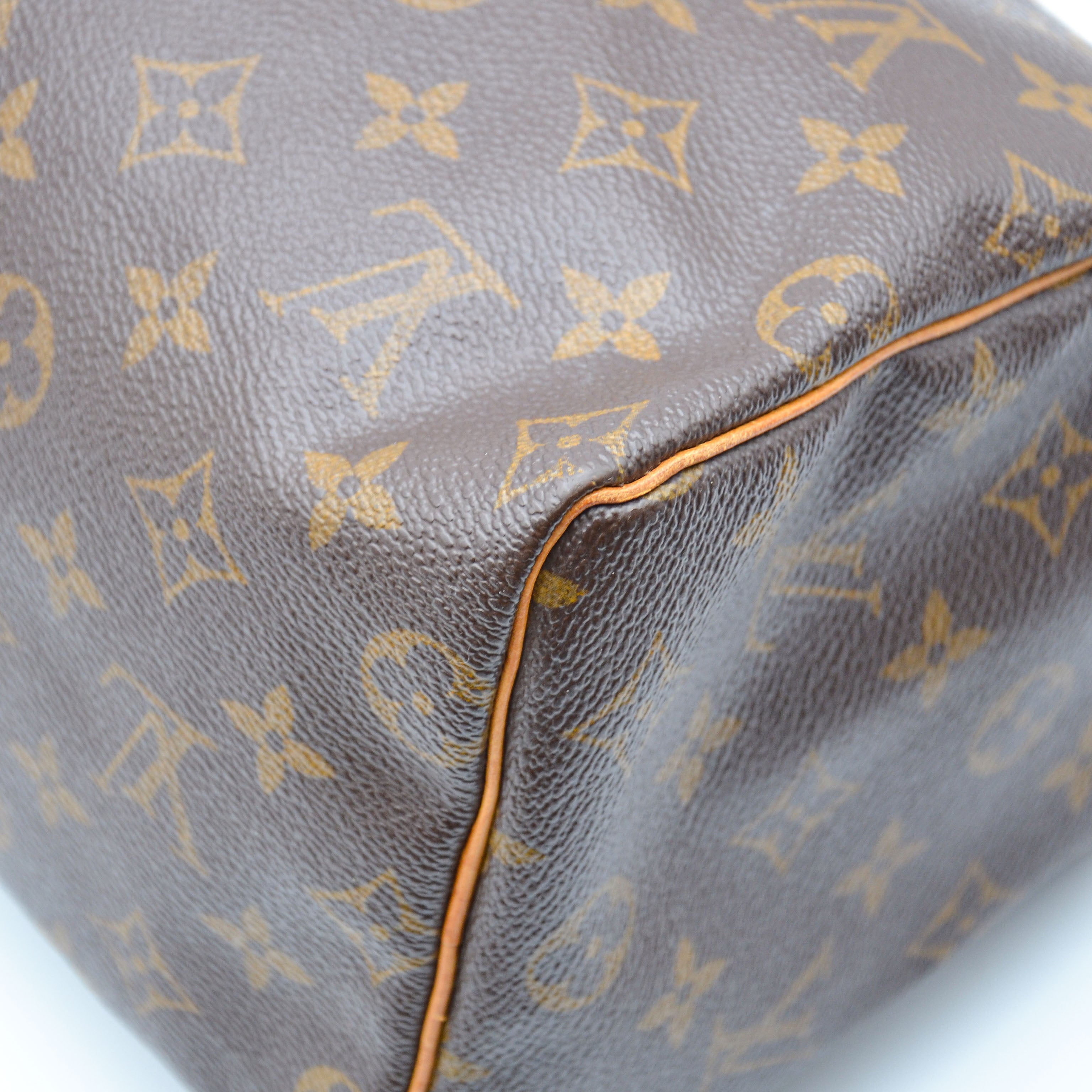 Louis Vuitton Speedy 25 Monogram